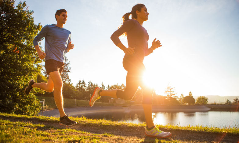Are You Ready to Train?