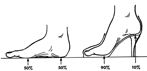 Footwear: The Primary Cause of Foot Disorders - by Dr. William A. Rossi, D.P.M.