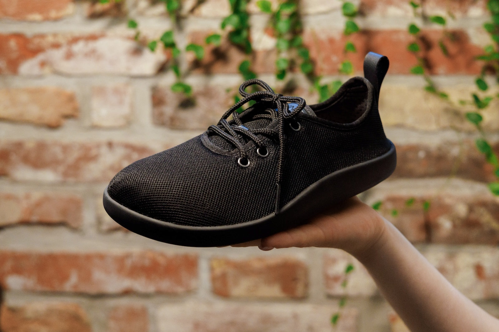 Flow Comfort black sneakers