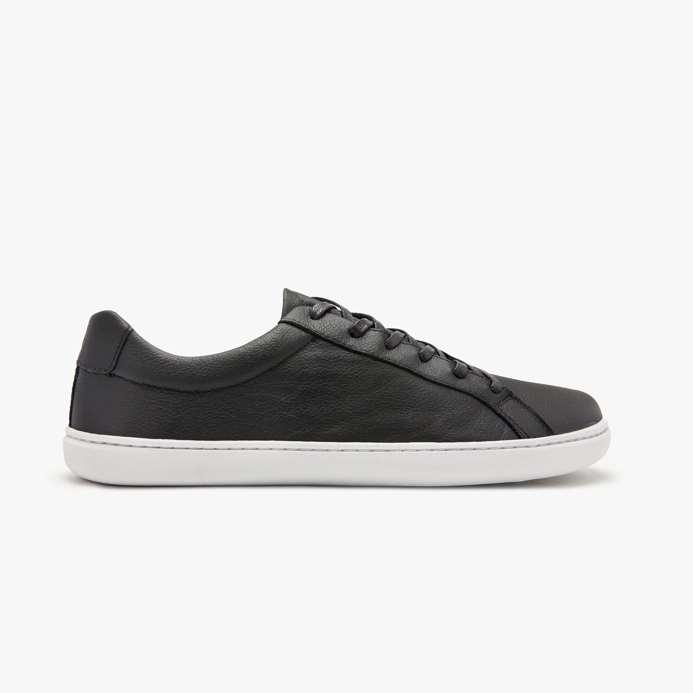The Everyday Sneaker | Gen 3 in Natural Leather