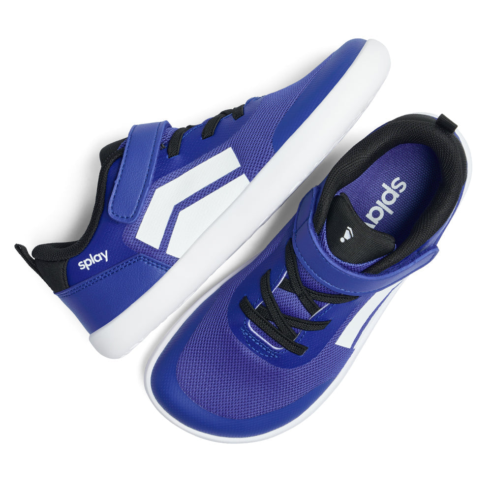 DASH True Blue