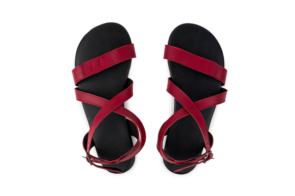 Hava barefoot burgundy sandals