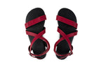 Hava barefoot burgundy sandals