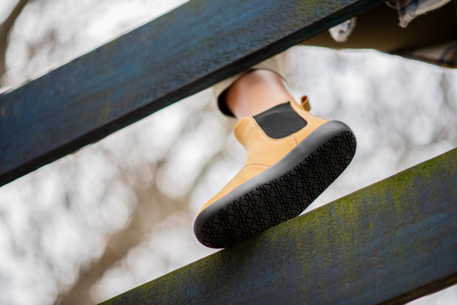 barefoot shoes Chelsea 2.0 mustard nubuck