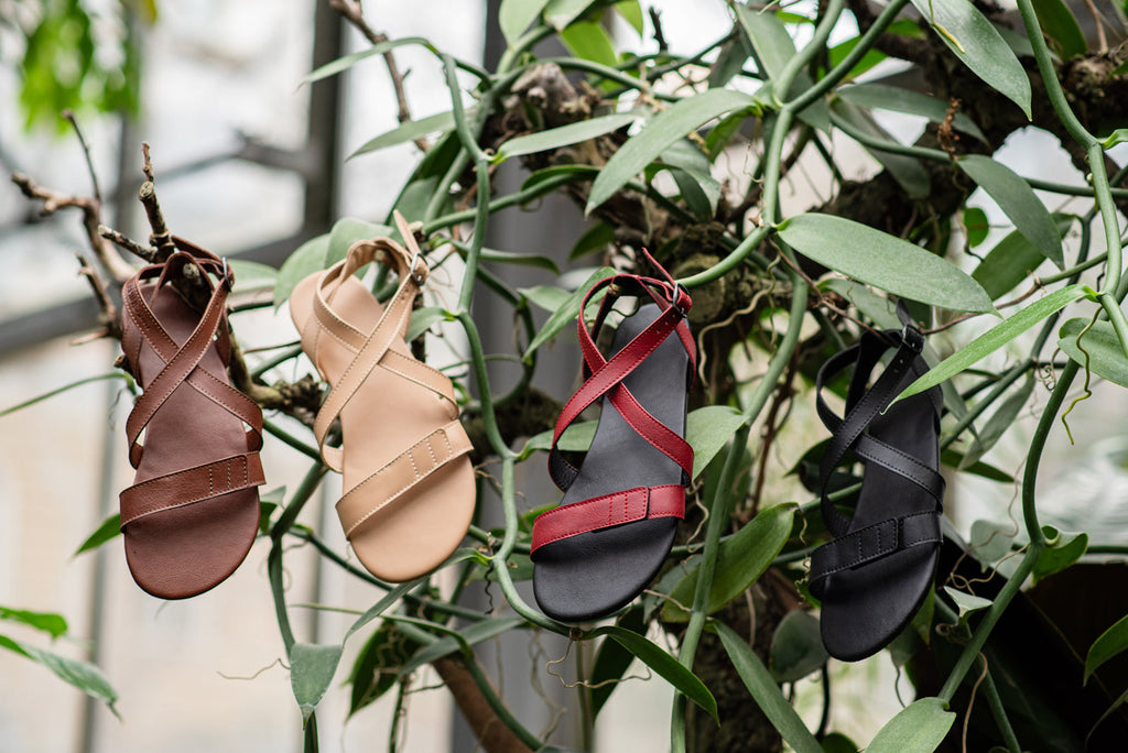 Hava barefoot burgundy sandals