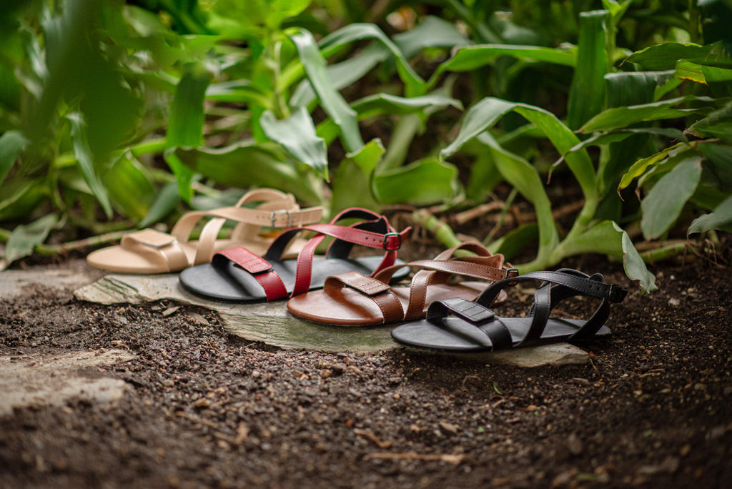 Hava barefoot burgundy sandals