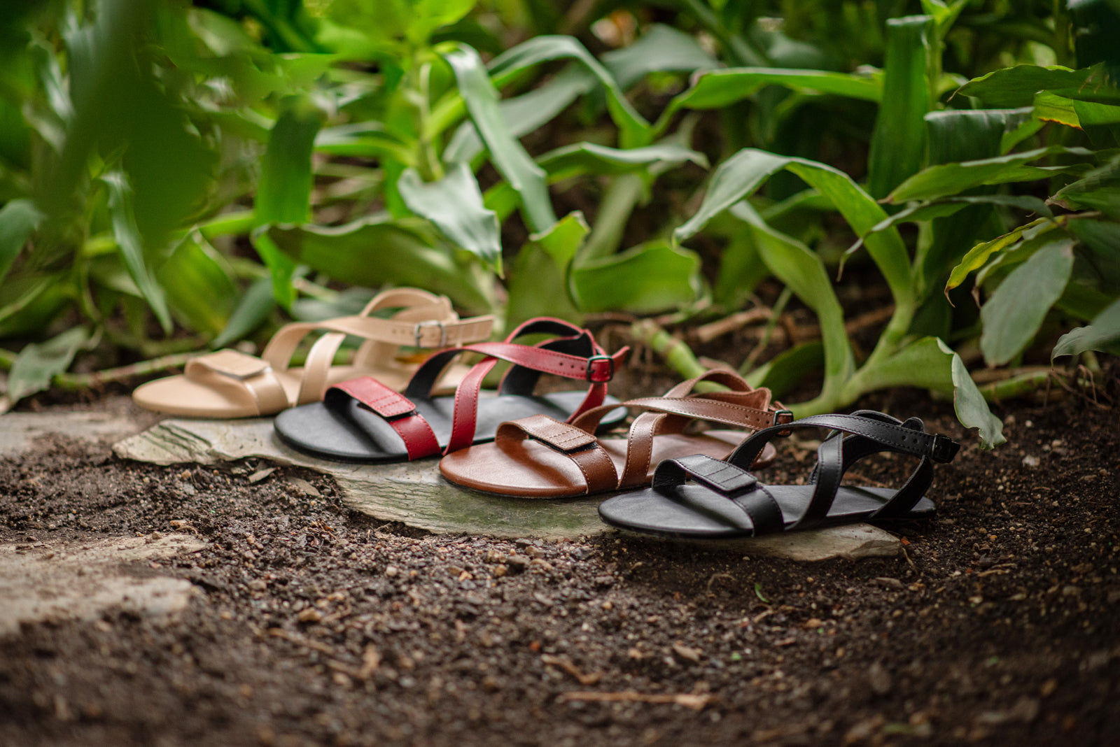 Hava barefoot burgundy sandals
