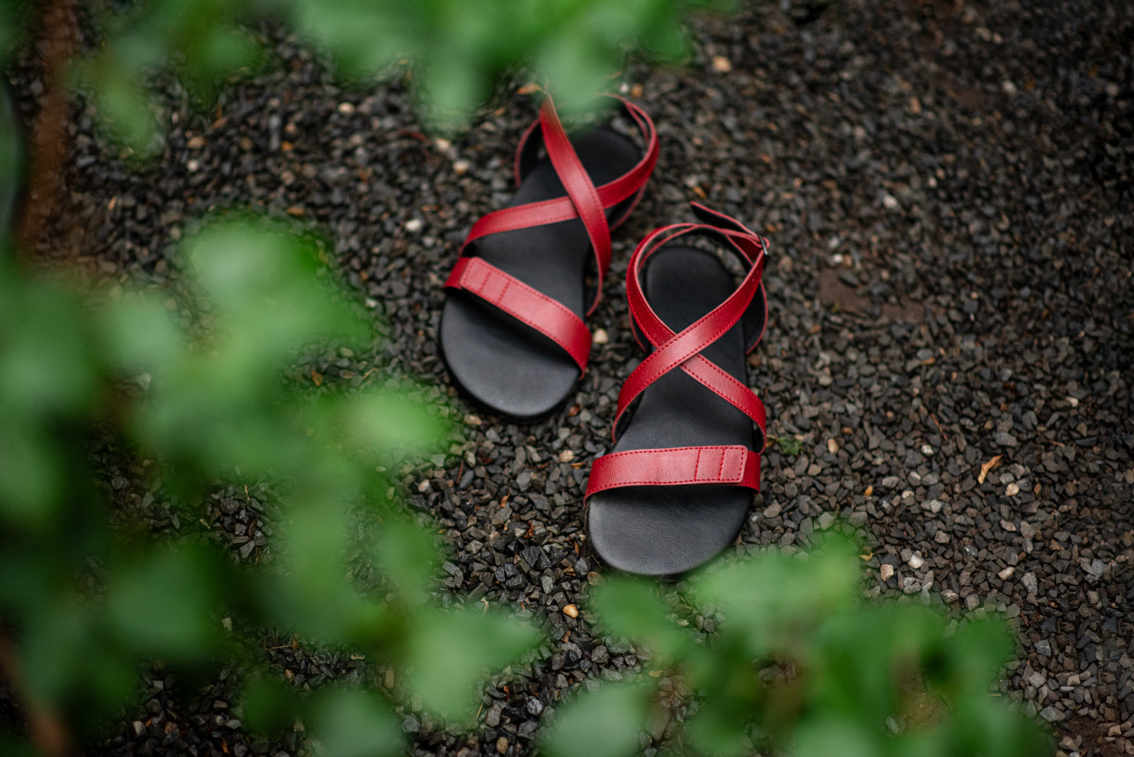 Hava barefoot burgundy sandals