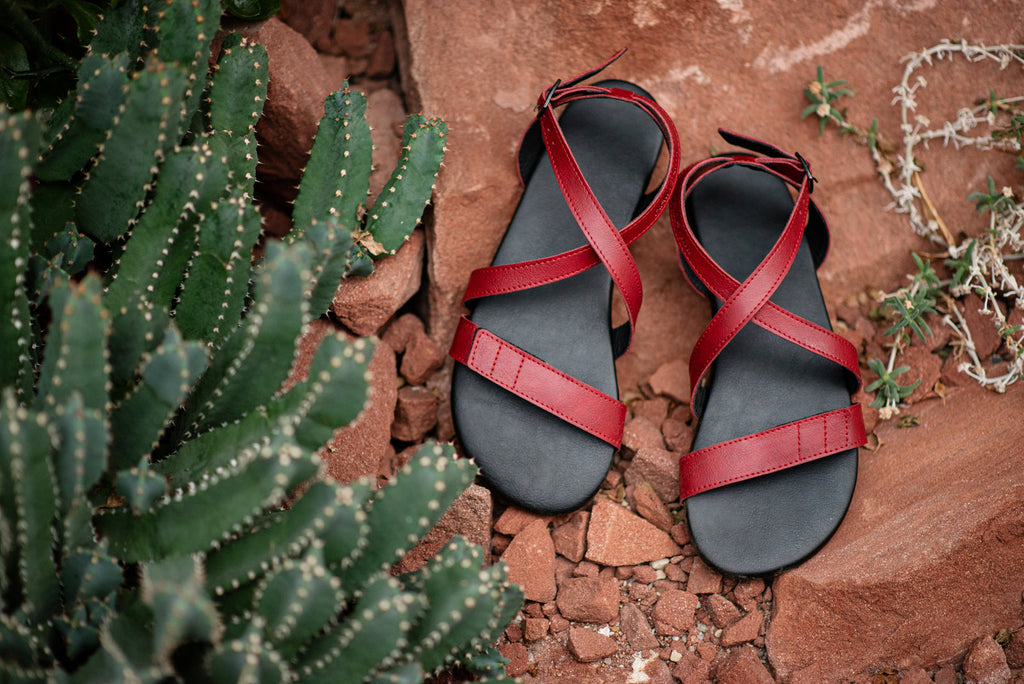 Hava barefoot burgundy sandals