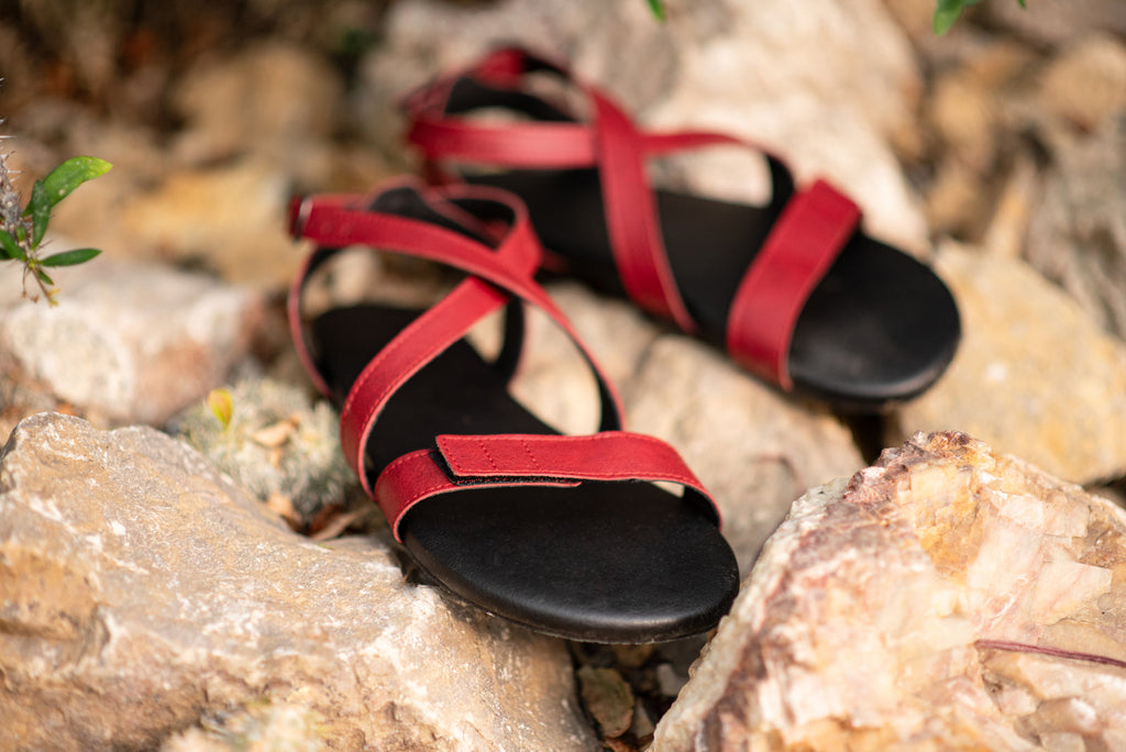 Hava barefoot burgundy sandals