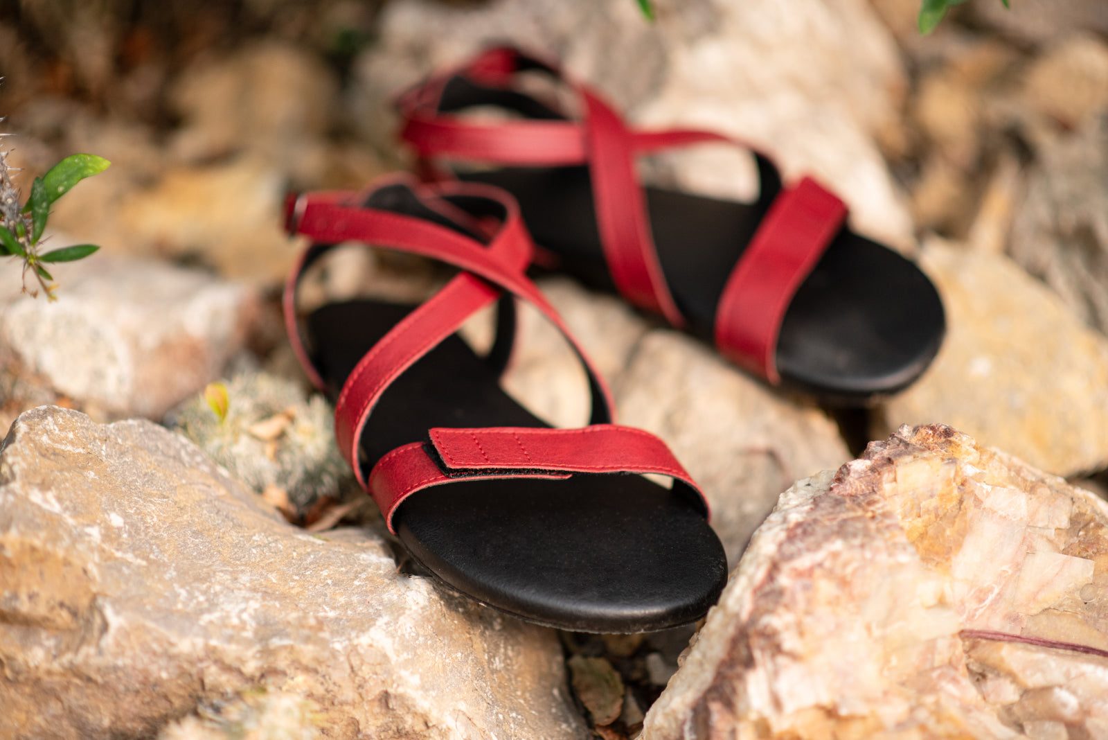 Hava barefoot burgundy sandals