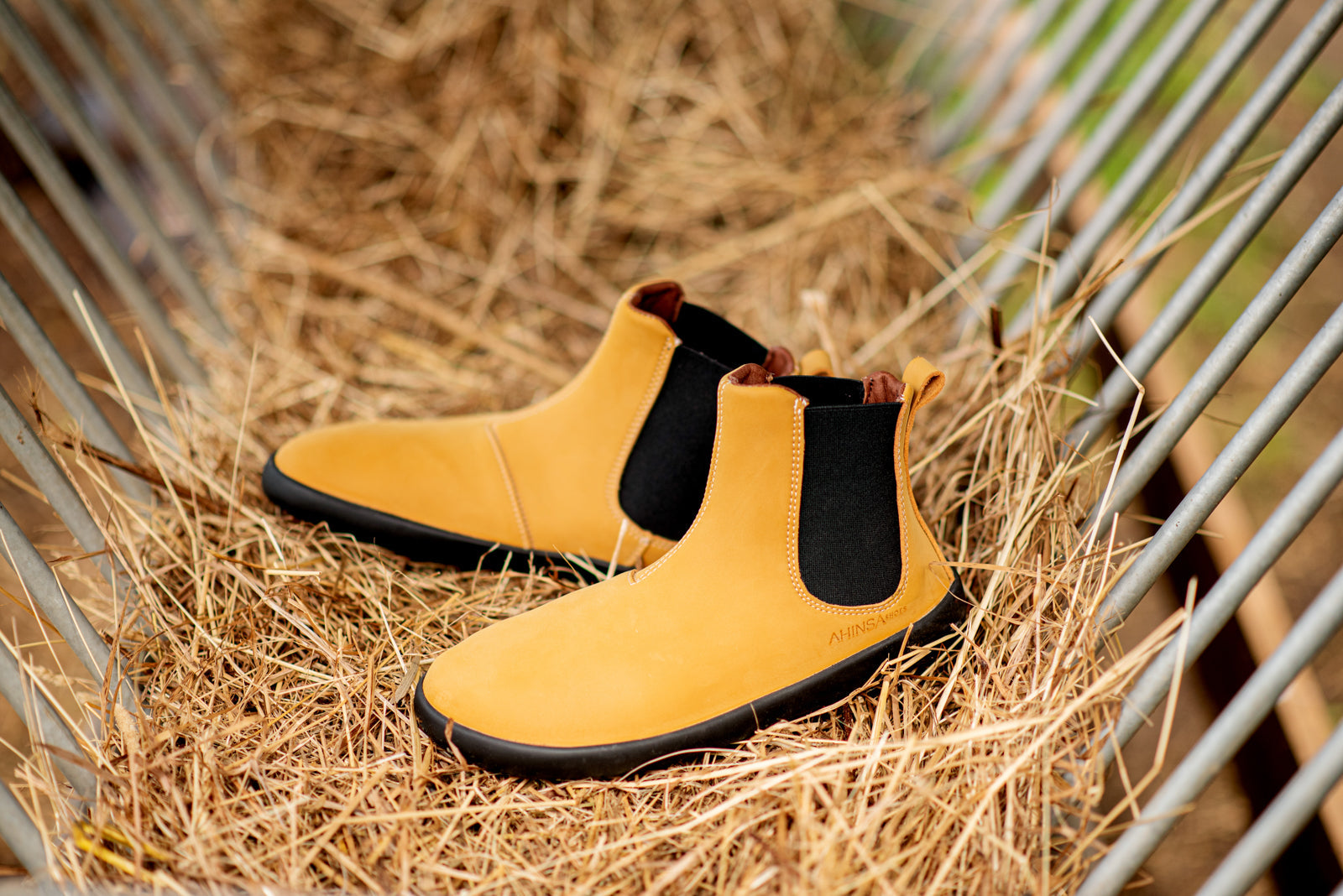 barefoot shoes Chelsea 2.0 mustard nubuck