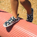 EXPLORE Daisy