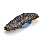 Islander Flip-Flops - Classic Light Blue
