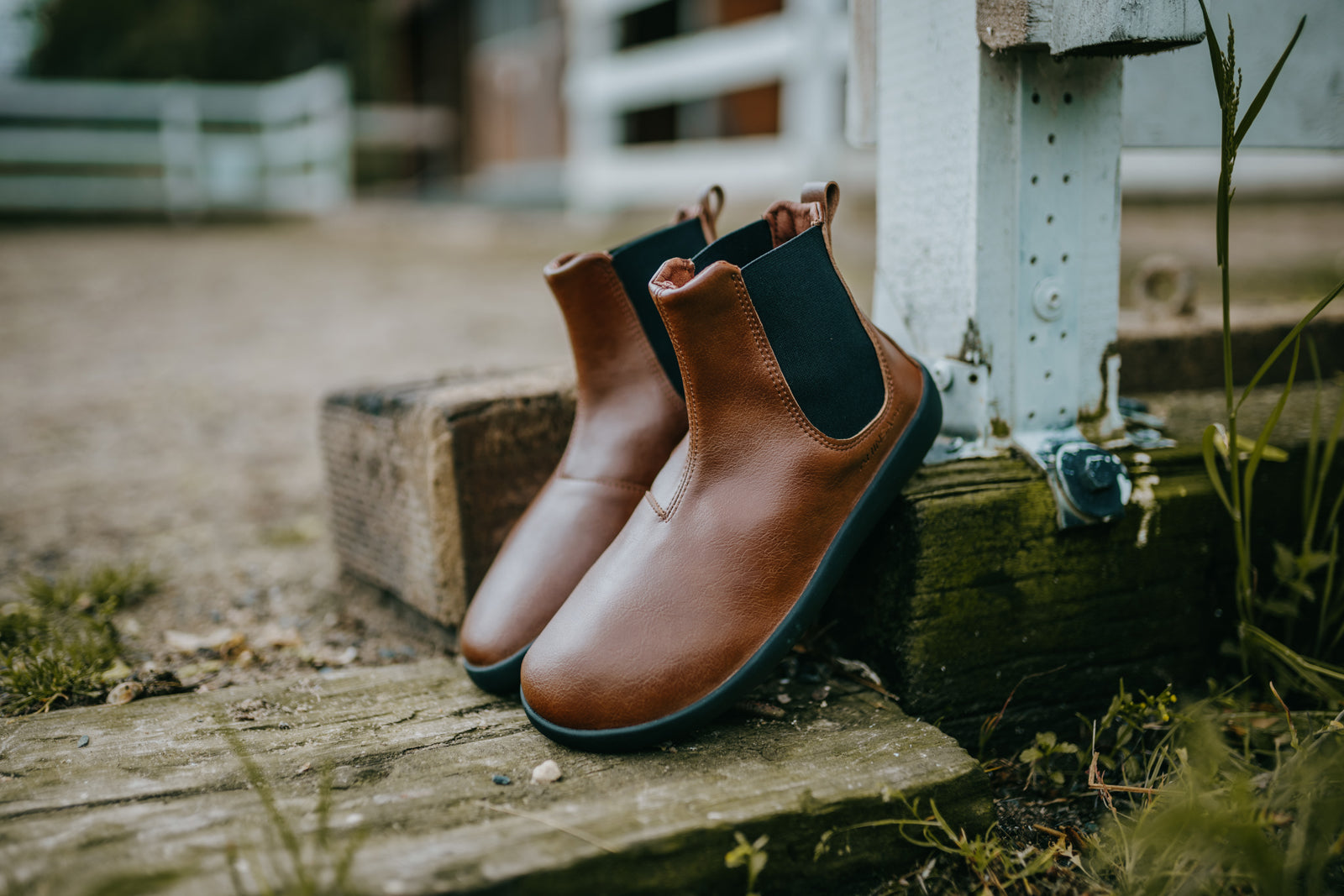 barefoot shoes Chelsea 2.0 brown