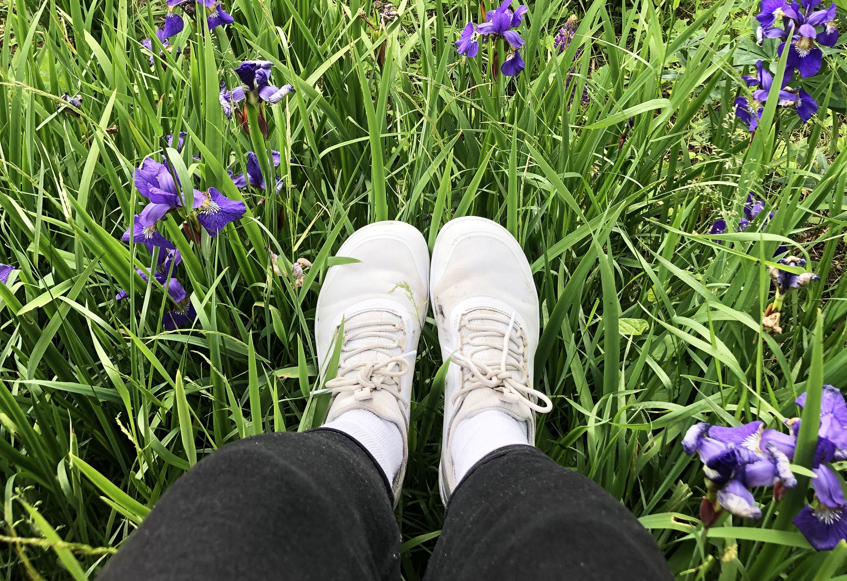 ReTolos: iON SYNC® Tolos Shoes
