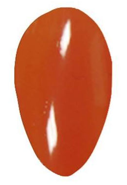 Burnt orange glossy nail polish swatch with smooth, shiny finish.