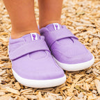 EXPLORE Lavender