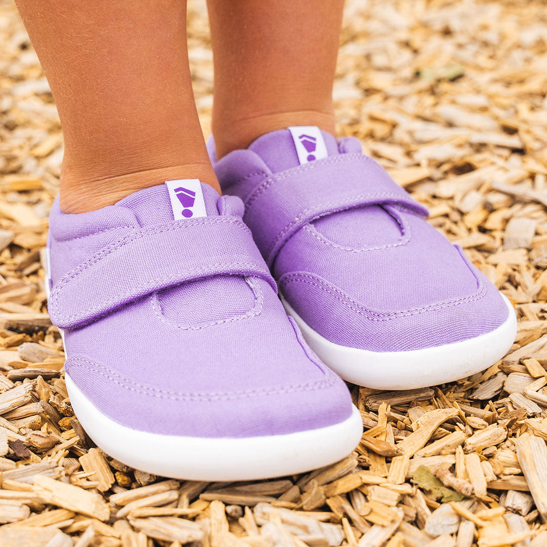 EXPLORE Lavender