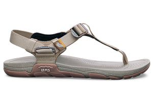 Lems Switchback - Mojave