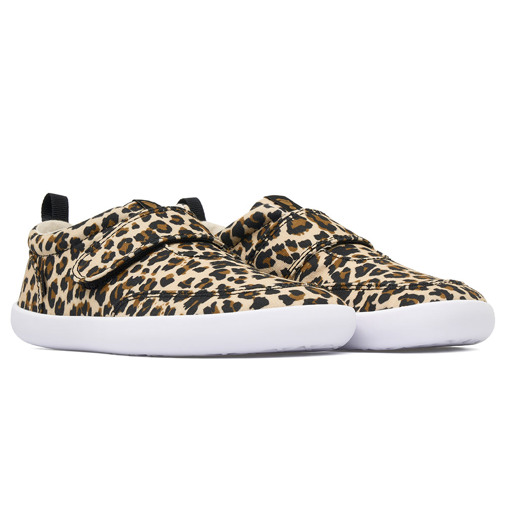 EXPLORE Leopard