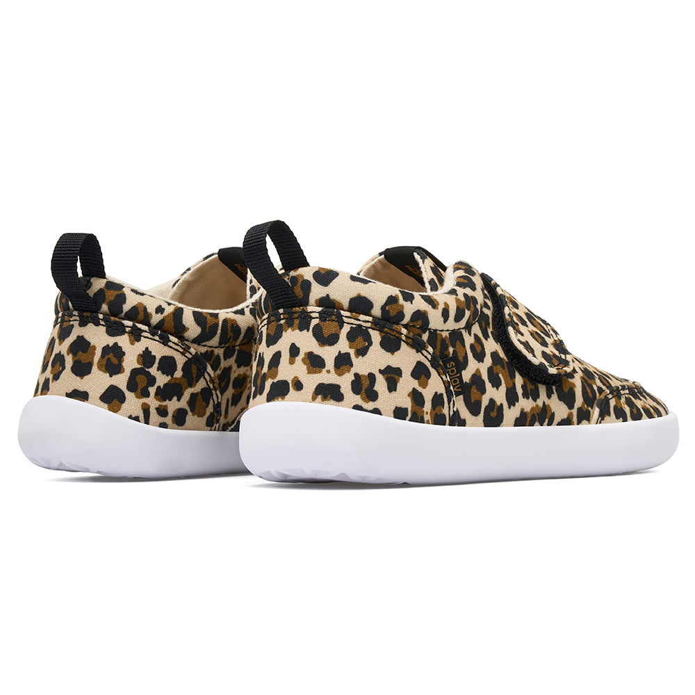 EXPLORE Leopard