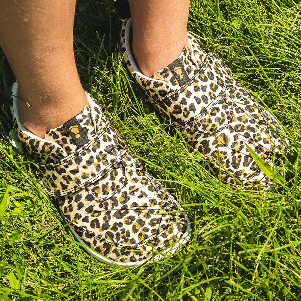 EXPLORE Leopard
