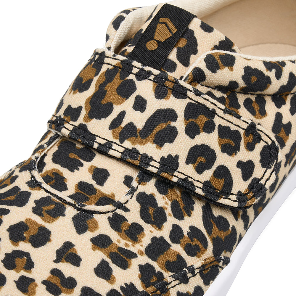 EXPLORE Leopard