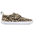 EXPLORE Leopard