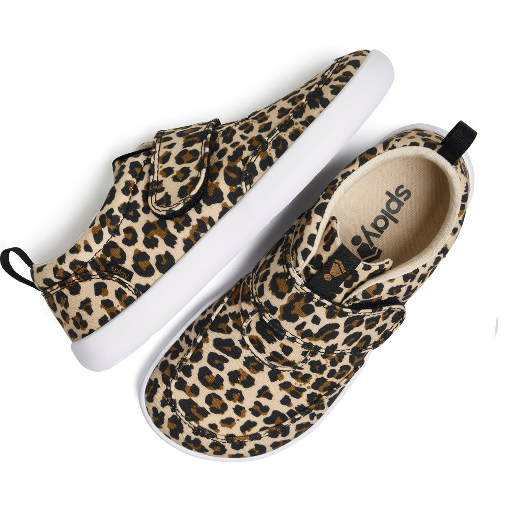 EXPLORE Leopard