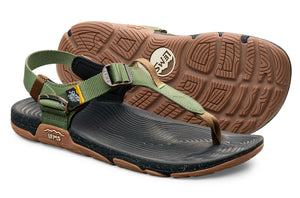 Lems Switchback - Cactus