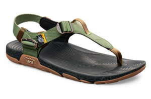 Lems Switchback - Cactus