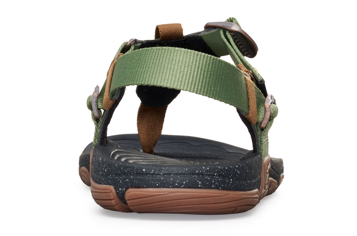 Lems Switchback - Cactus