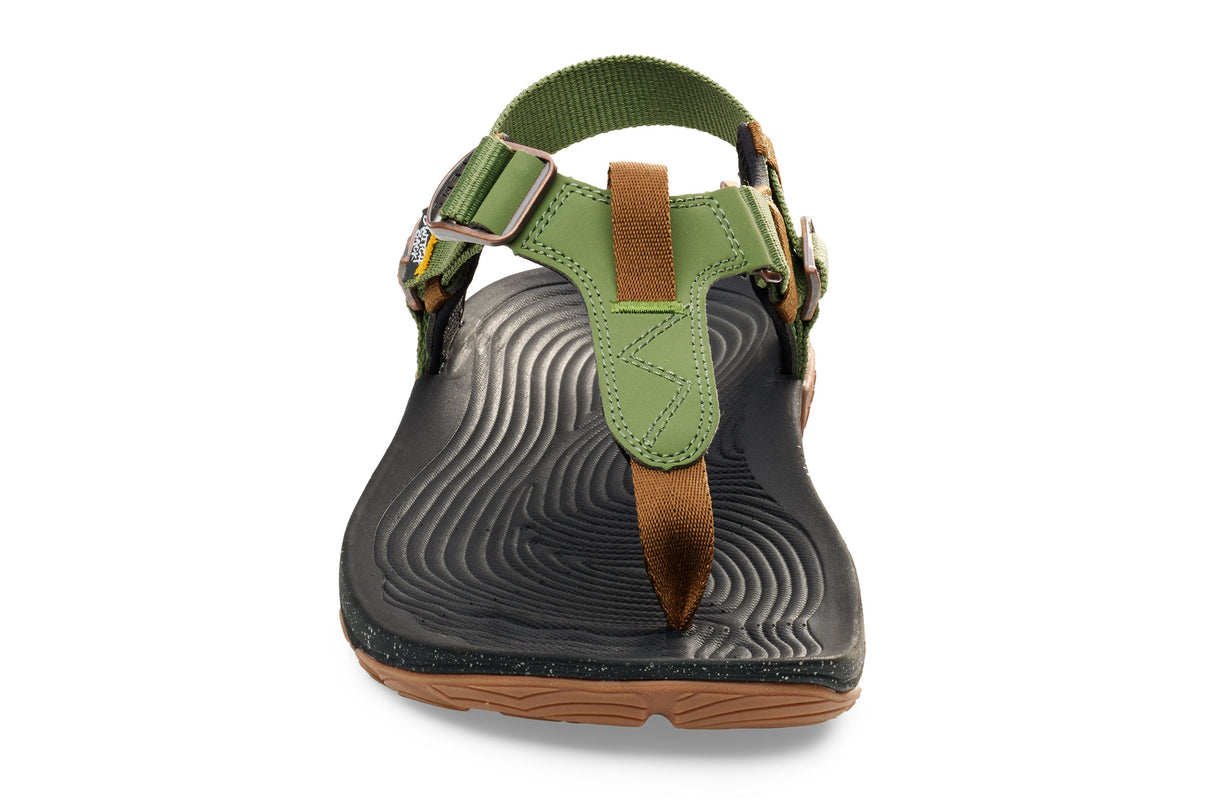 Lems Switchback - Cactus