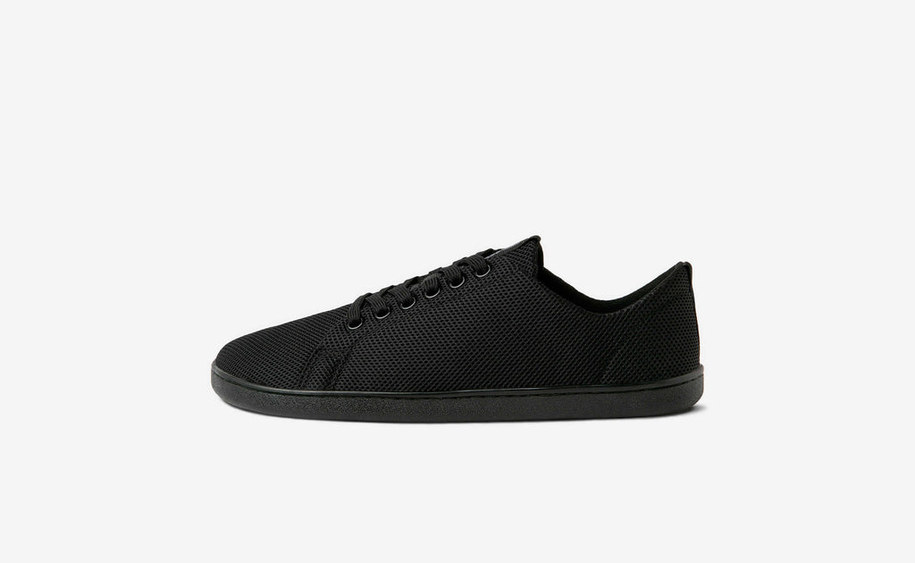 Original Mesh