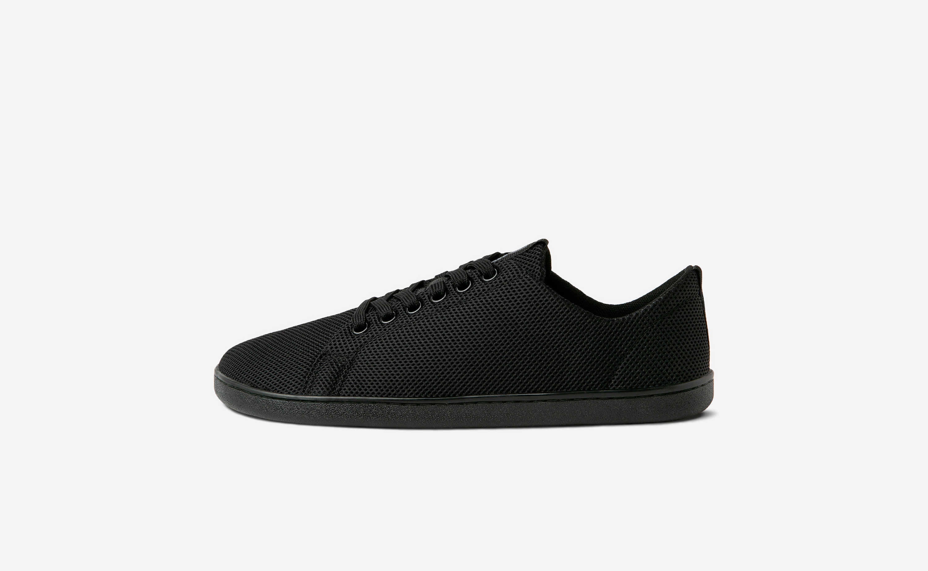 Original Mesh