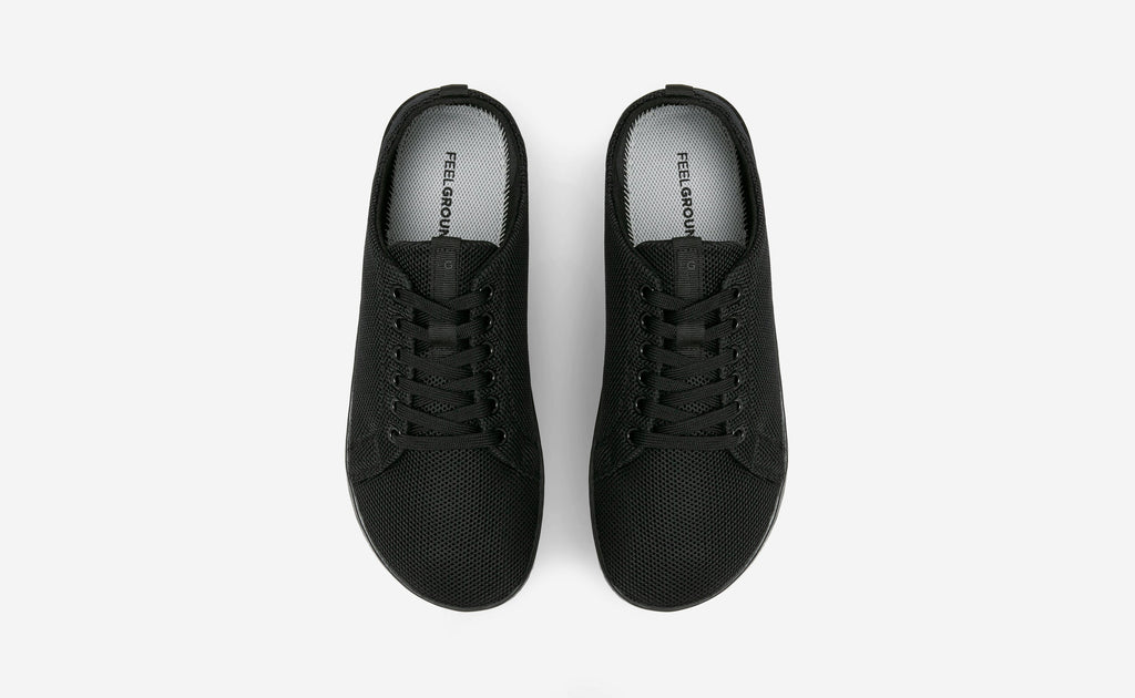 Original Mesh
