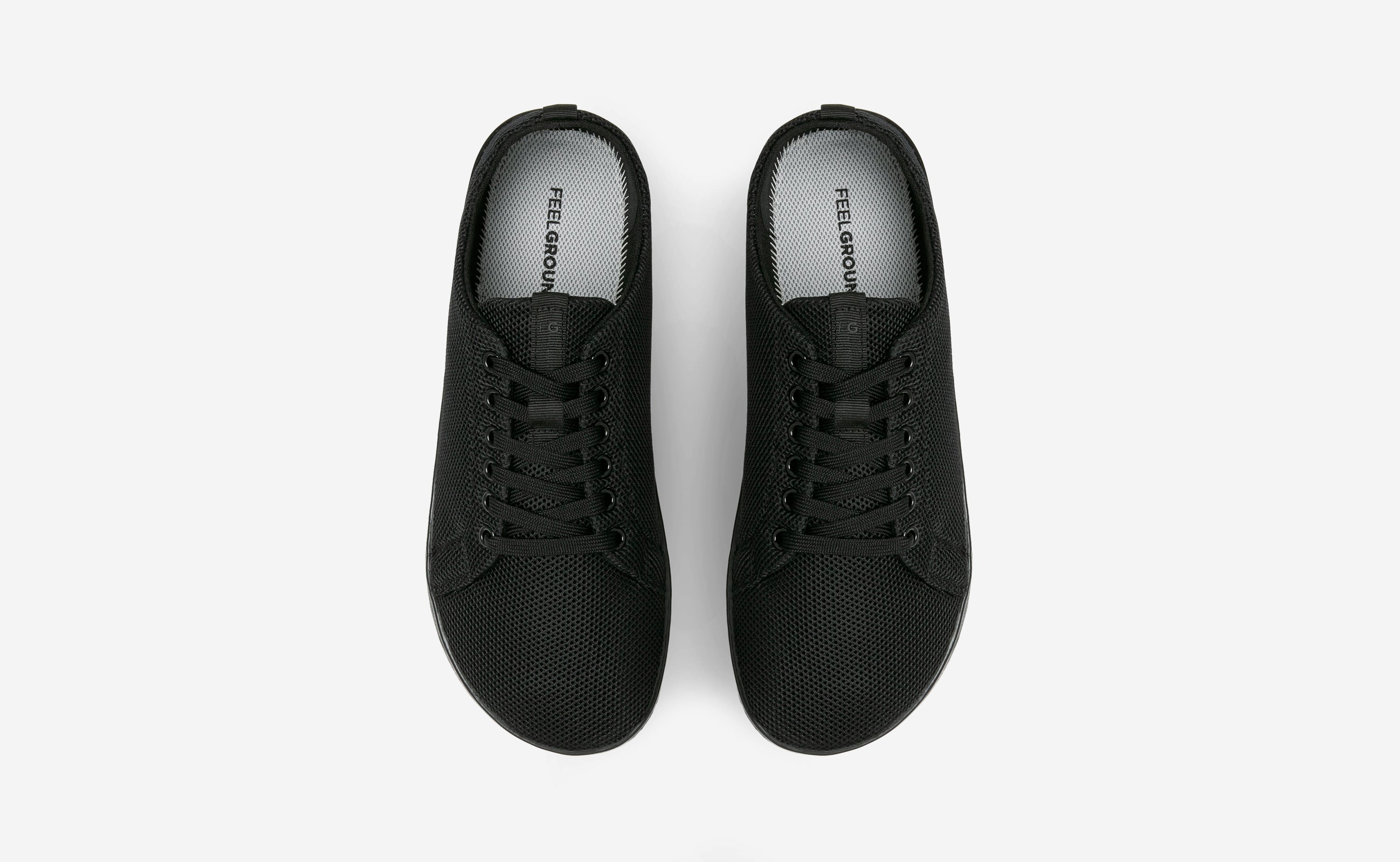 Original Mesh