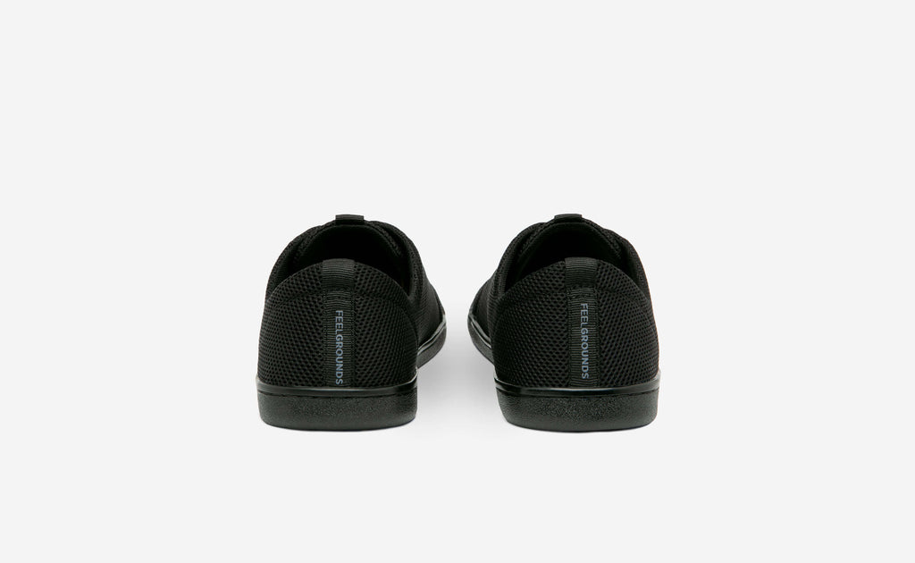 Original Mesh
