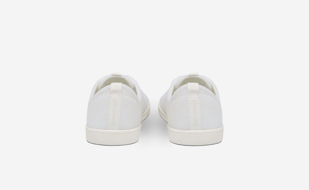 Original Mesh