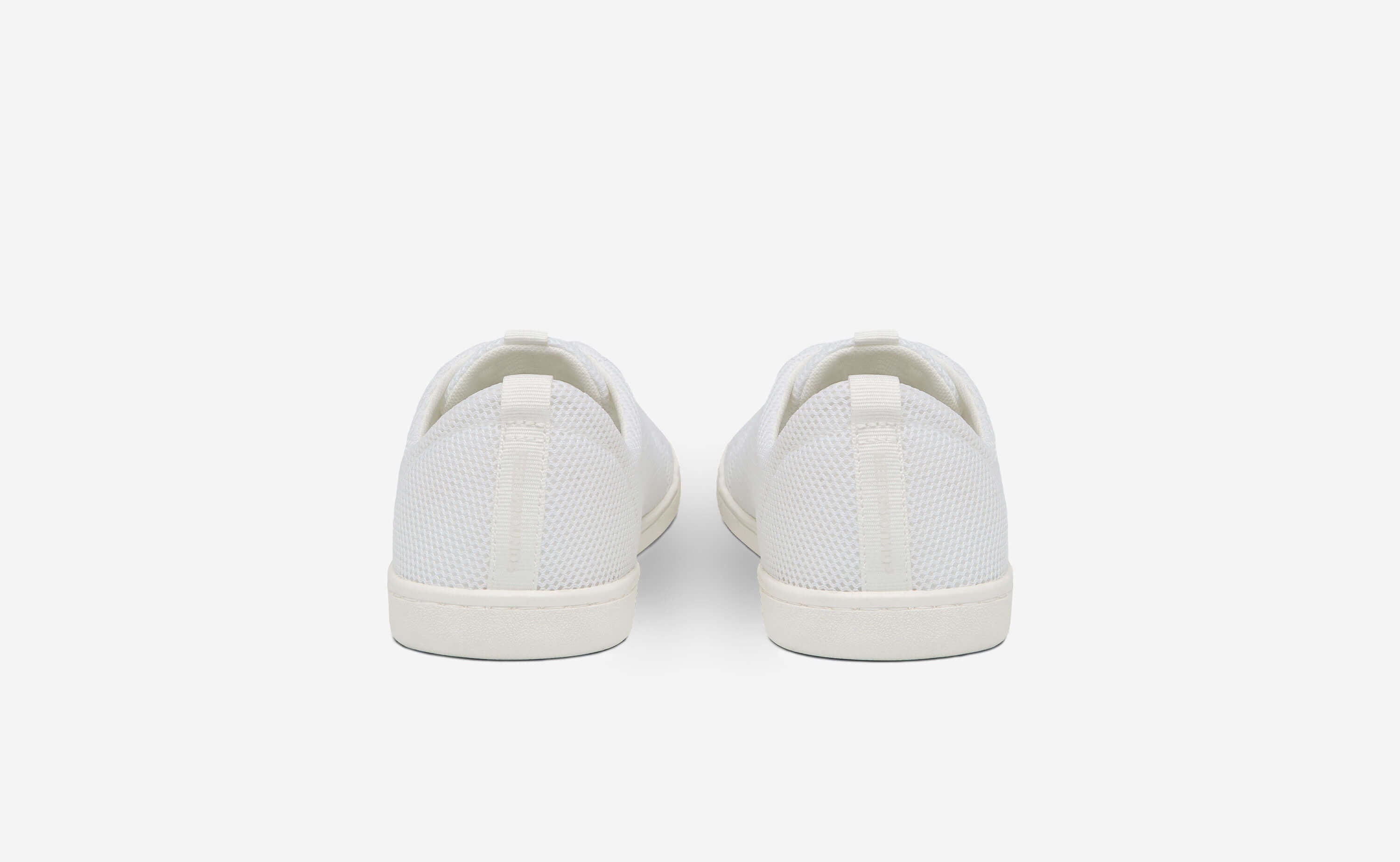 Original Mesh