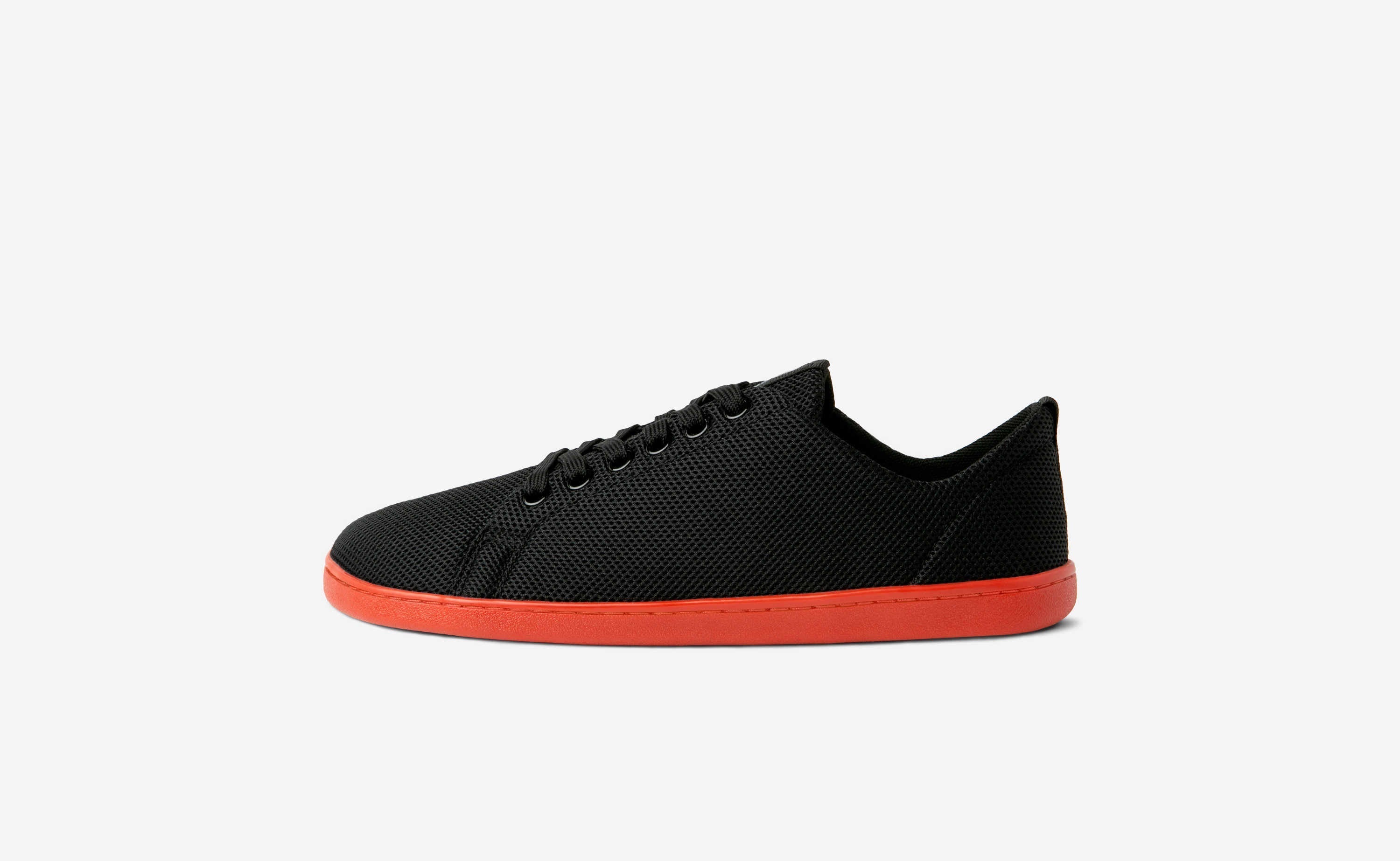 Original Mesh