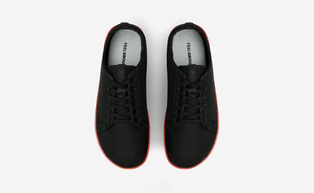 Original Mesh