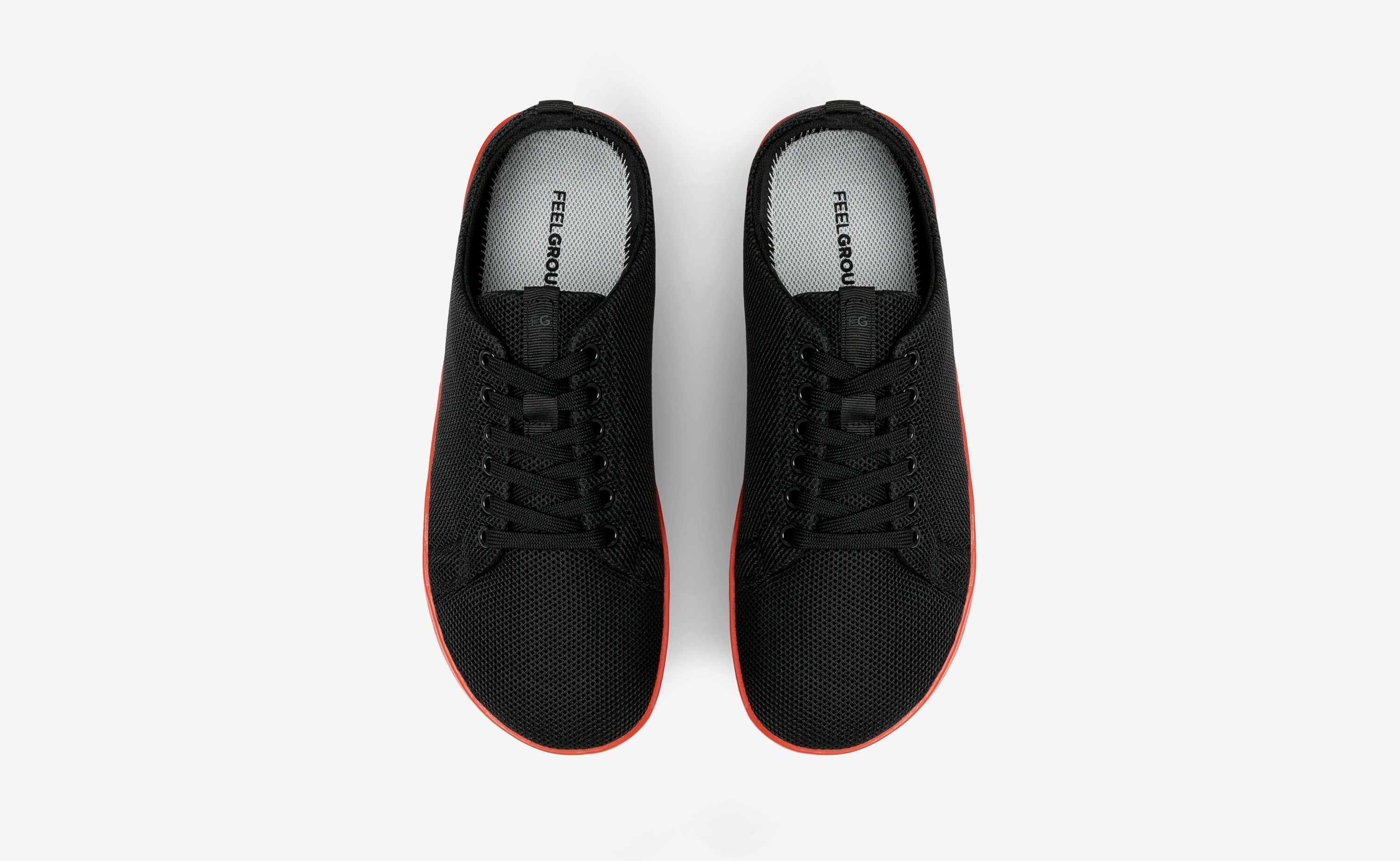 Original Mesh