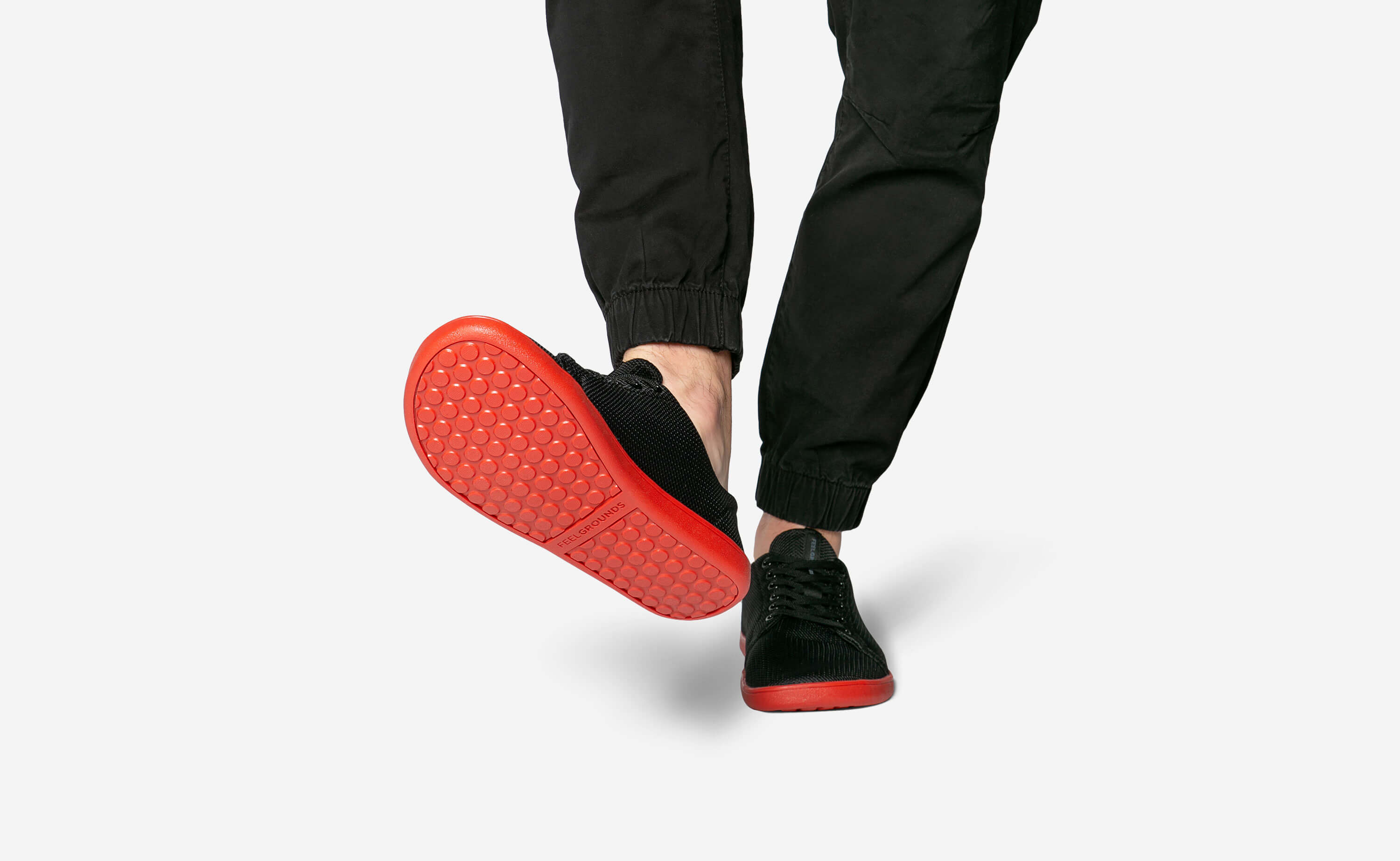 Original Mesh