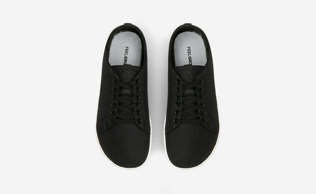 Original Mesh
