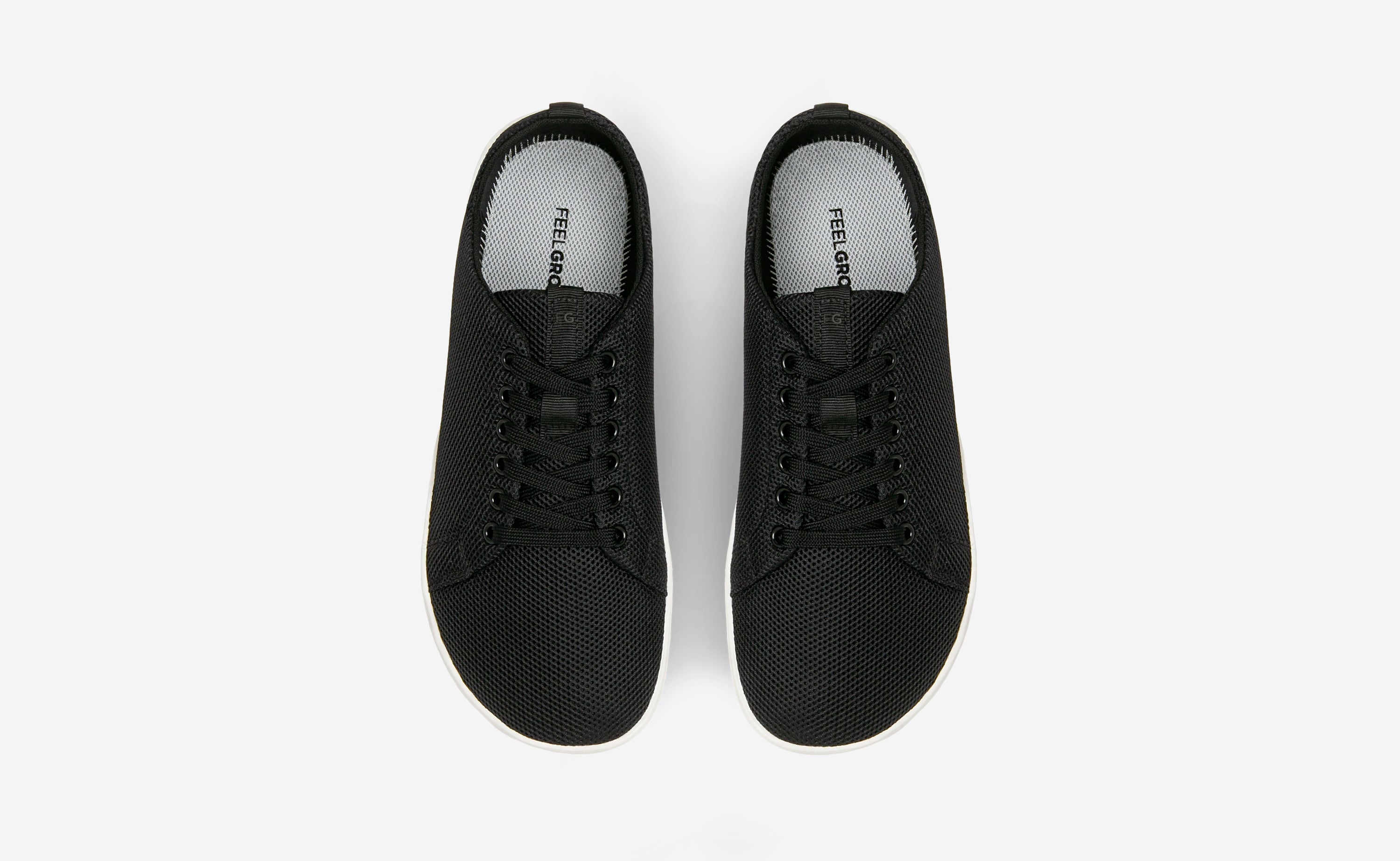 Original Mesh