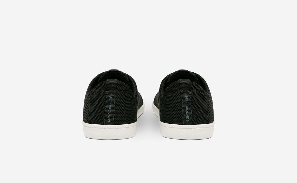 Original Mesh