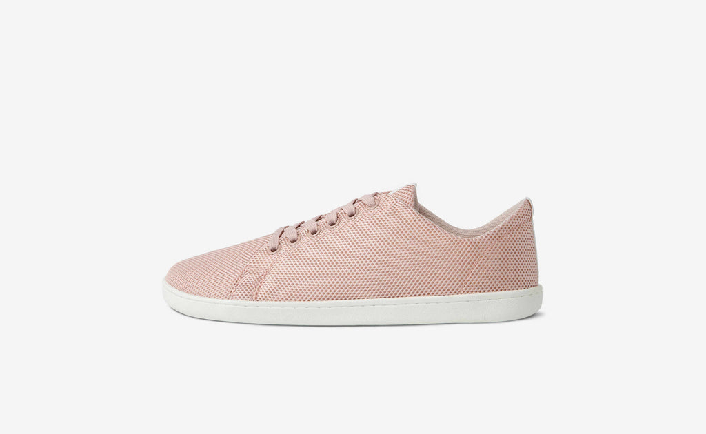 Original Mesh