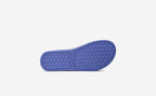 Original Mesh